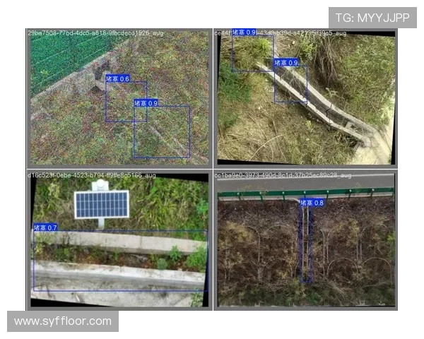 广州极限运动队力量表现数据分析与训练效果评估研究